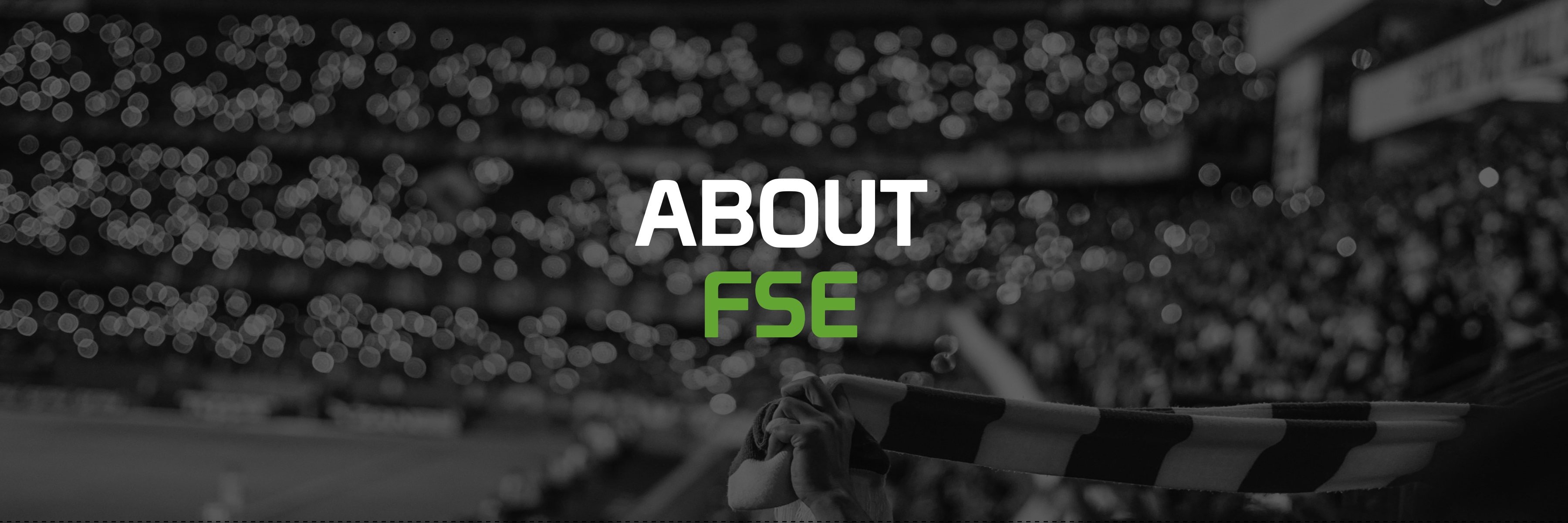 About FSE Banner Image - Photo by Emerson Vieira